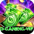 Pakistan Casino - Gaming VIP